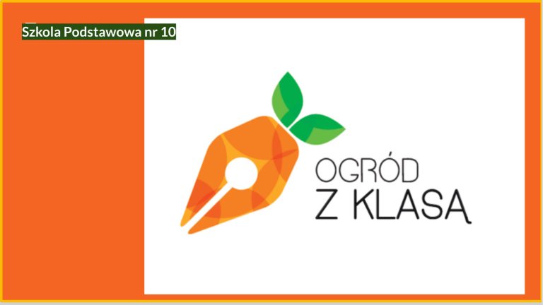 Sadzenie cebulek w szkolnym ogrodzie