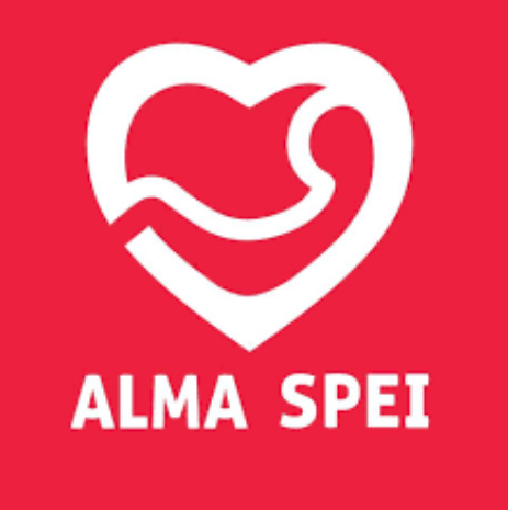 Zbiórka funduszy na rzecz Fundacji Alma Spei